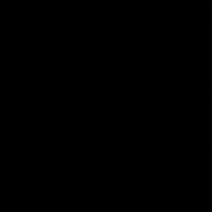 Meet your Posher, Jasmin